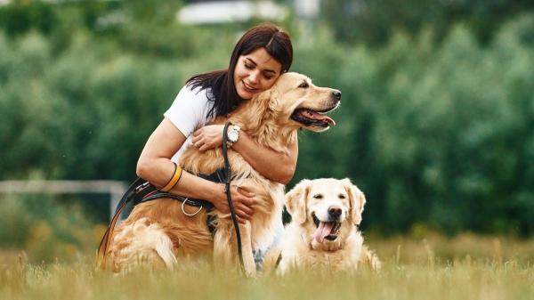 La psicología dice que las personas que cuidan varias mascotas sufren más estrés emocional que quienes solo tienen una - Cuanto más fuerte es el vínculo con las mascotas, mayor puede ser la preocupación por su bienestar