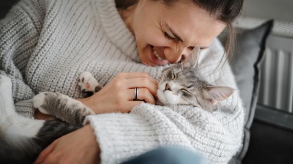 La ciencia revela algo sorprendente: tu gato podría verte como a su madre si hace esto contigo - Los gatos también crean vínculos muy fuertes con sus tutores