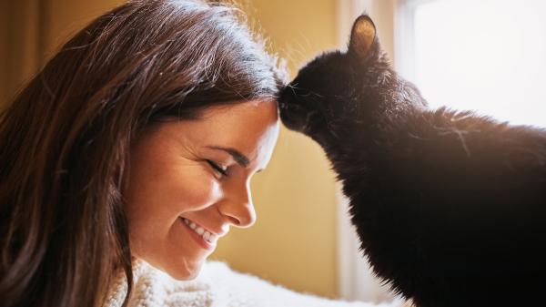 La ciencia revela algo sorprendente: tu gato podría verte como a su madre si hace esto contigo - Señales claras de que tu gato podría verte como a su madre
