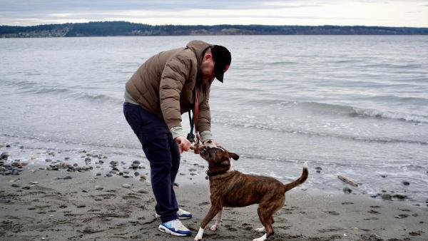 España ya tiene más de 100 playas para perros: estas son las más recomendadas para ir este verano - Andalucía y Murcia amplían sus playas para perros: estas son las más conocidas