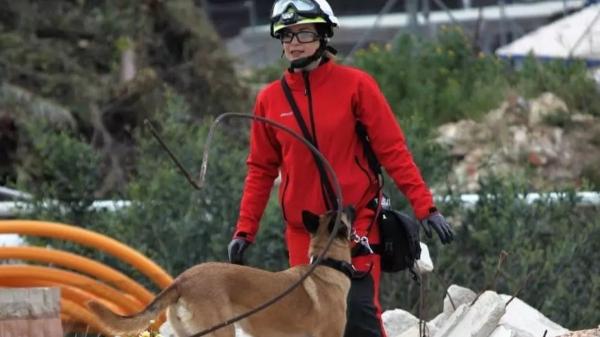Los perros de rescate también se jubilan: la emotiva despedida de India tras casi una década salvando vidas - El olfato que salva vidas: cómo trabajan los perros de rescate en una emergencia