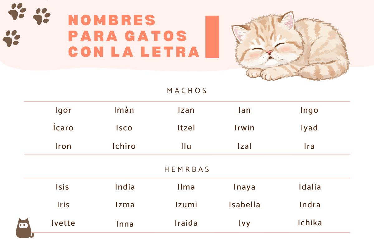 Nombres para gatos con I