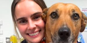 Nala, la perrita que se queda junto a los perros que afrontan solos la eutanasia y les ofrece compañía hasta el final: “Ayuda a que se sientan más seguros”