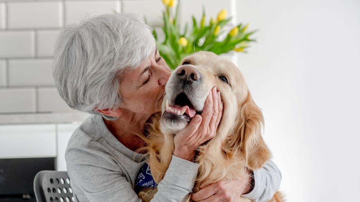 Herederos inesperados: cada vez más españoles incluyen a sus mascotas en el testamento