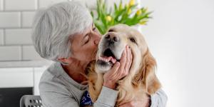 Herederos inesperados: cada vez más españoles incluyen a sus mascotas en el testamento
