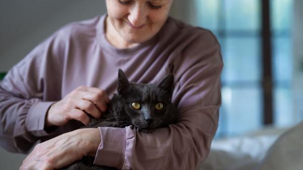 Herederos inesperados: cada vez más españoles incluyen a sus mascotas en el testamento - Lo que dice la ley: por qué tu mascota no puede heredar directamente