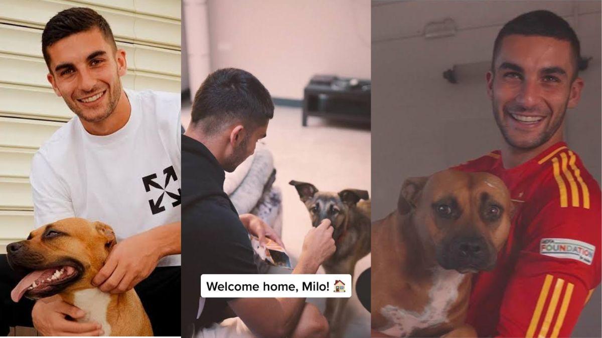 Ferran Torres y los perros que han marcado su vida: de Milo a Minnie, la pasión del campeón por los animales