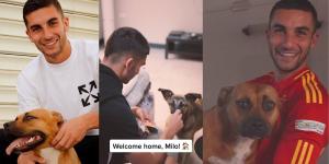 Ferran Torres y los perros que han marcado su vida: de Milo a Minnie, la pasión del campeón por los animales