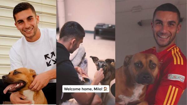 Ferran Torres y los perros que han marcado su vida: de Milo a Minnie, la pasión del campeón por los animales
