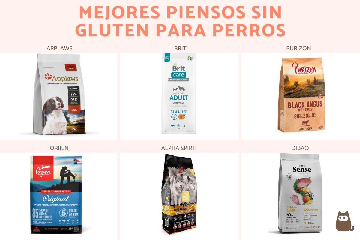 Los mejores piensos sin gluten para perros