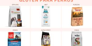 Los mejores piensos sin gluten para perros