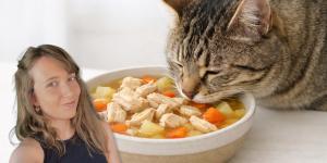 Soy veterinaria y esta es la sopa casera para gatos que recomiendo y que puedes preparar en pocos minutos y sin ingredientes raros