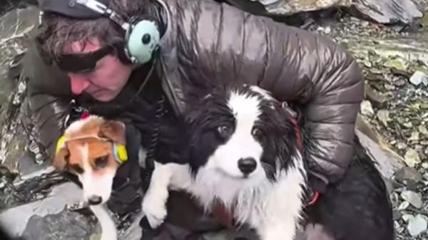 La historia de Molly: la perra que esperó sola 7 días tras la caída de su tutora por una cascada - Un final que ha emocionado a miles: así fue el rescate de Molly
