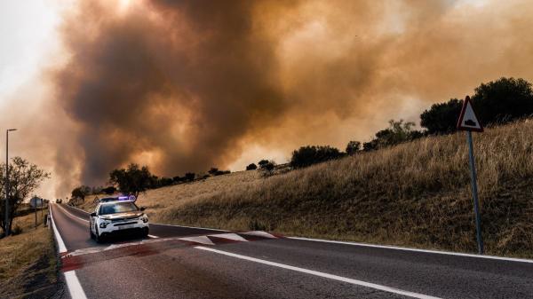 La Guardia Civil rescata varios perros durante los incendios: “No dejamos a nadie atrás, sea de la especie que sea” - La Guardia Civil lo deja claro: las mascotas también deben evacuarse