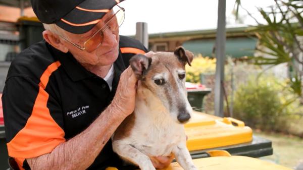 Un jubilado de 82 años recicló más de un millón de latas y botellas y recaudó más de 100.000 dólares para salvar perros abandonados - Su pasión por ayudar a los perros le llevó a encontrar una nueva forma de colaborar