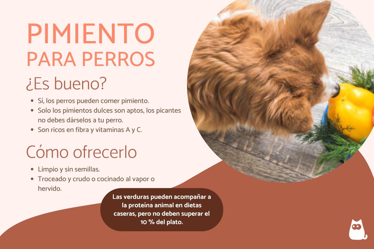¿Los perros pueden comer pimiento?