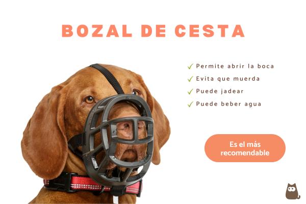 Tipos de bozales para perros - 2. Bozal de cesta 
