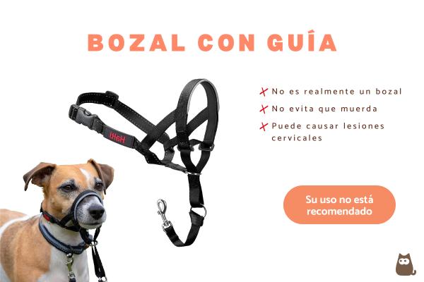 Tipos de bozales para perros - 3. Bozal con guía
