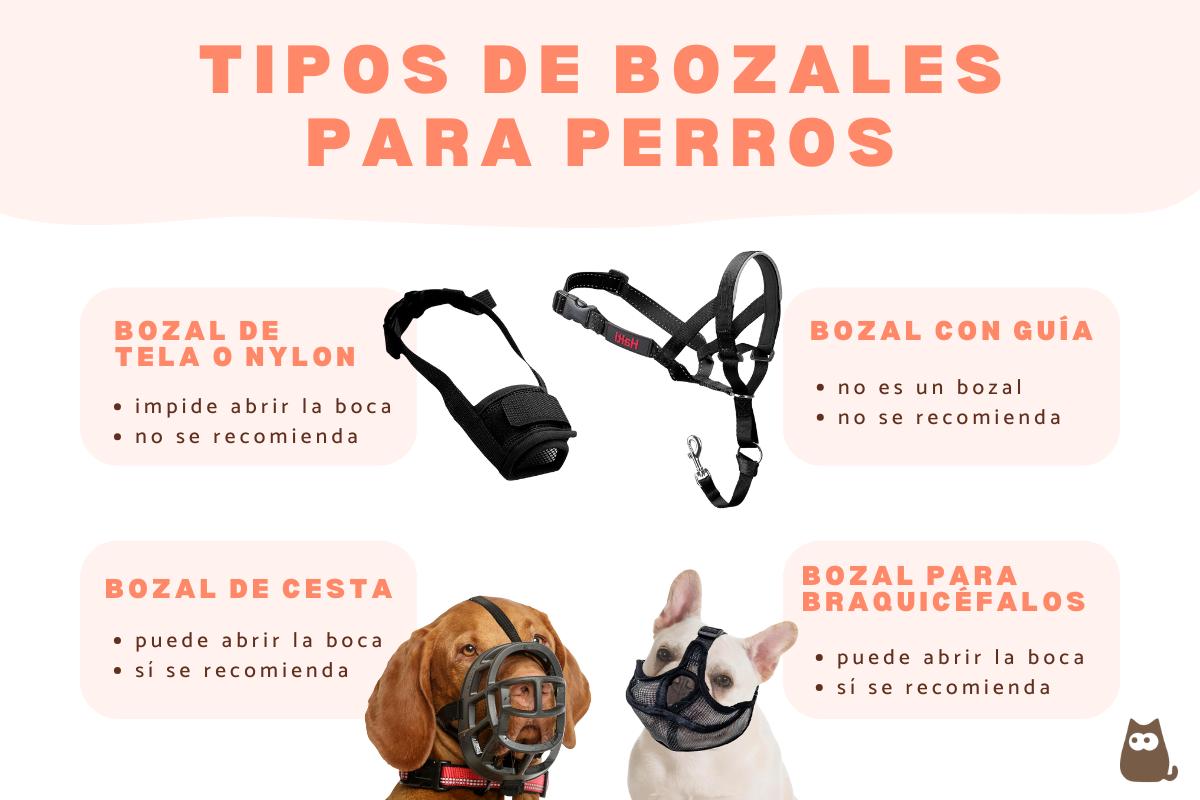 Tipos de bozales para perros