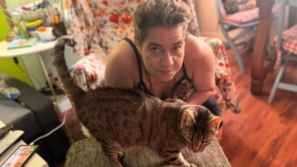 Mari Paz Bulnes, gestora de colonias felinas: “No podemos cambiar la vida de los gatos de la calle, pero sí hacer que sea más digna, más segura y menos difícil” - “No basta con alimentarlos”: cuidar una colonia felina exige vigilancia, paciencia y atención veterinaria
