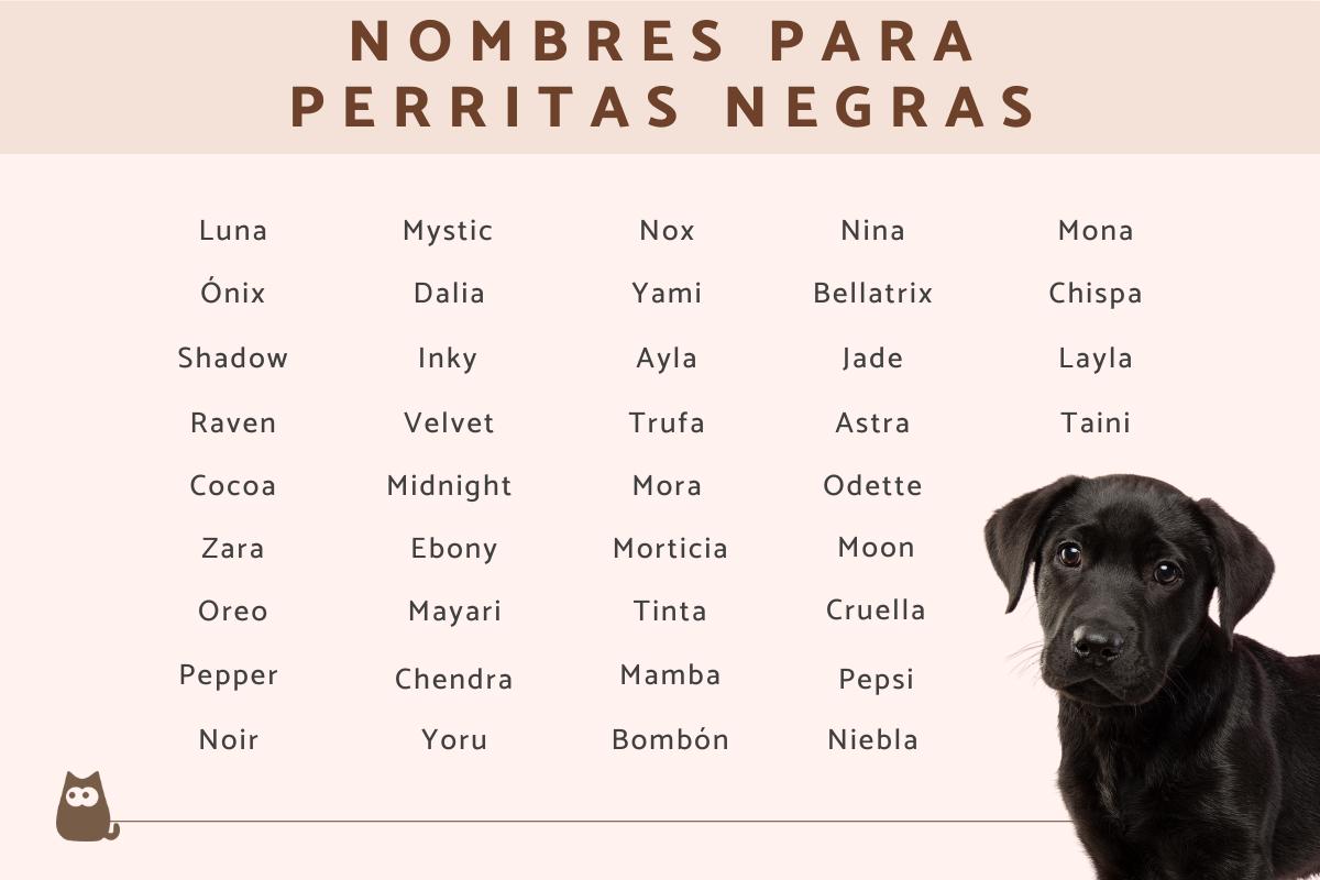 Nombres para perritas negras