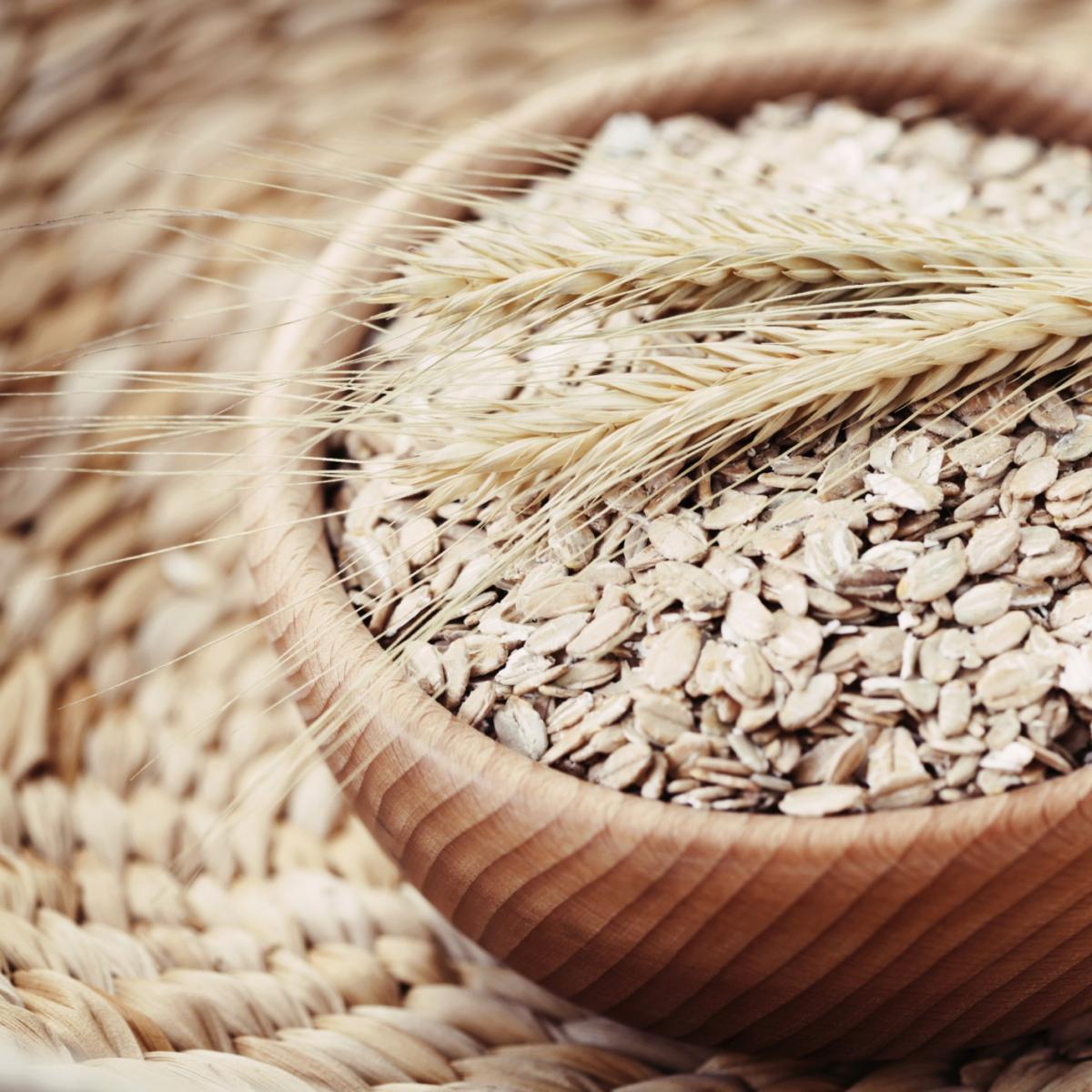 Beneficios de la avena para perros