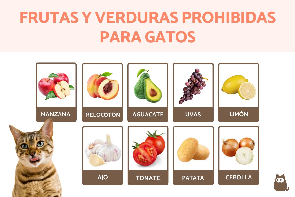 Frutas y verduras prohibidas para gatos