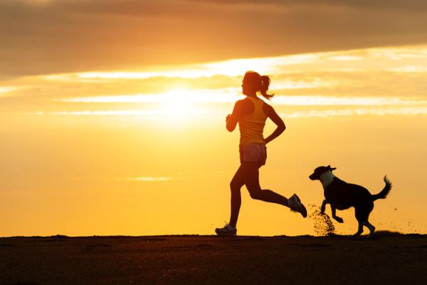 ¿Cómo demostrar a un perro que lo quieres? - 4. Invierte en momentos de calidad junto a tu perro