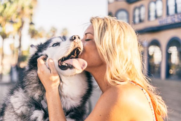 ¿Cómo demostrar a un perro que lo quieres?