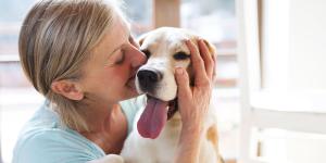 Los científicos lo tienen claro: los perros se parecen a sus tutores y esta es la razón