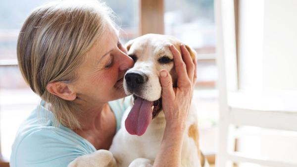 Los científicos lo tienen claro: los perros se parecen a sus tutores y esta es la razón