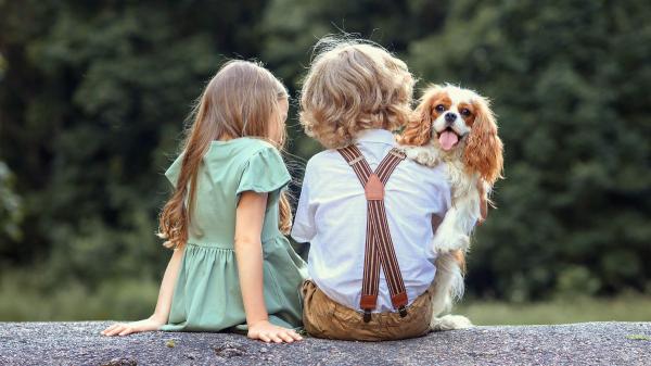 Los psicólogos coinciden: “Los niños que crecen con perros tienden a ser adultos más empáticos” - Cómo vivir con perros durante la infancia puede influir en el desarrollo de la empatía