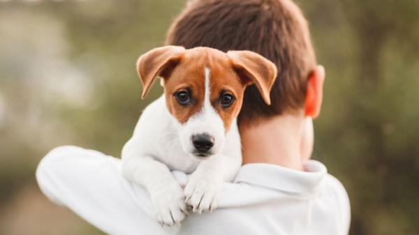 Los psicólogos coinciden: “Los niños que crecen con perros tienden a ser adultos más empáticos”