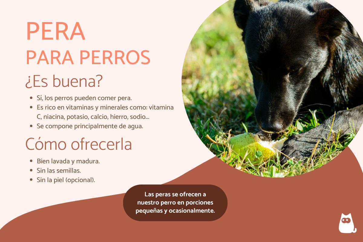 ¿Los perros pueden comer pera?