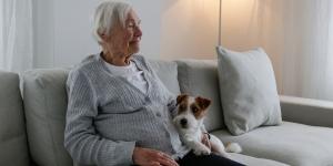 Una mujer de 75 años adopta a un perro que llevaba más de 700 días en un refugio: la historia de Velcro recuerda la realidad de los "perros invisibles"