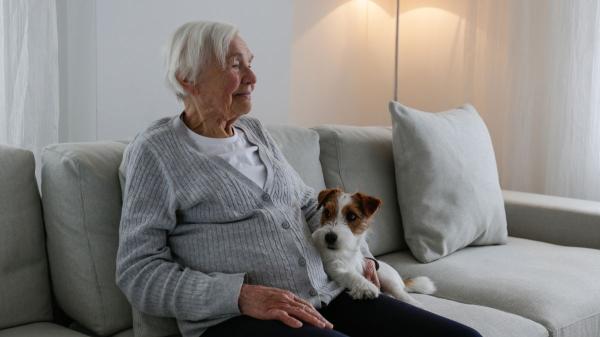 Una mujer de 75 años adopta a un perro que llevaba más de 700 días en un refugio: la historia de Velcro recuerda la realidad de los "perros invisibles"