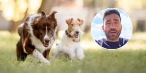 Luis Vallbona, educador canino: “Dos perros corriendo y saltando juntos no siempre están jugando; también pueden estar reaccionando ante una situación incómoda”