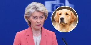 La UE se pone seria y cambia las normas: el nuevo requisito obligatorio para perros y gatos