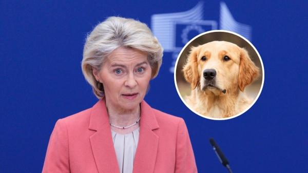 La UE se pone seria y cambia las normas: el nuevo requisito obligatorio para perros y gatos