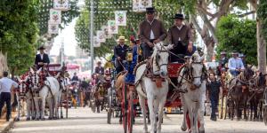 Agua, veterinarios y enfriamiento del asfalto: el plan de Sevilla para proteger a los caballos en la Feria de Abril 2026