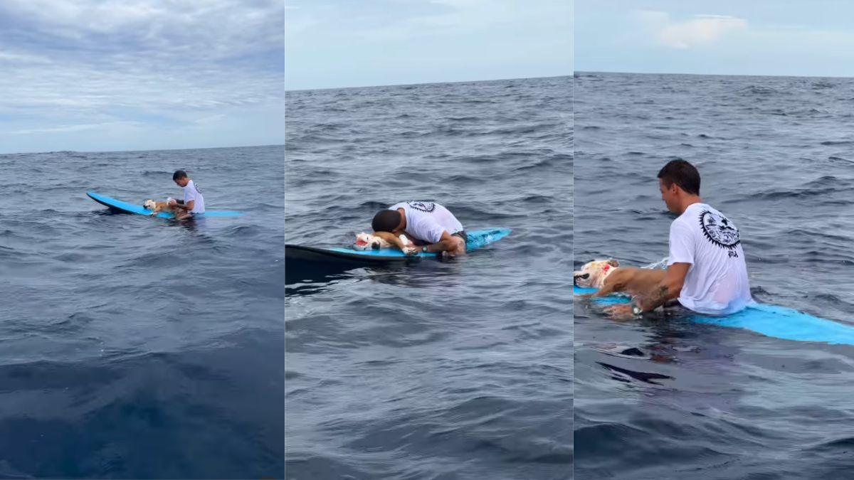 Un surfista se despide de su perro en medio del mar y su mensaje emociona a miles: “Te voy a echar de menos”