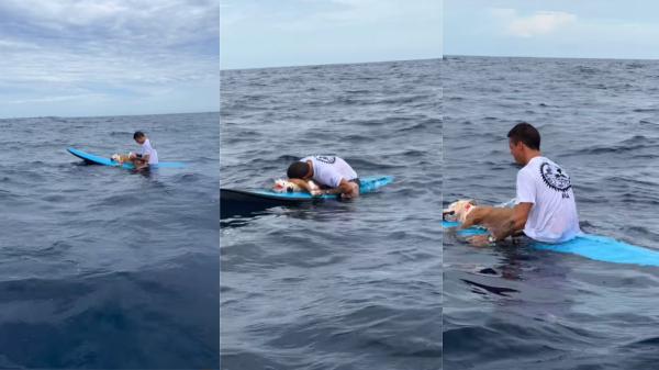 Un surfista se despide de su perro en medio del mar y su mensaje emociona a miles: “Te voy a echar de menos”