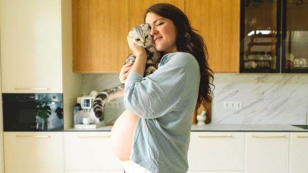 Cinco mitos sobre los gatos que la ciencia ya ha desmontado (y muchos siguen creyendo) - Embarazo y gatos: un miedo que puede estar algo exagerado