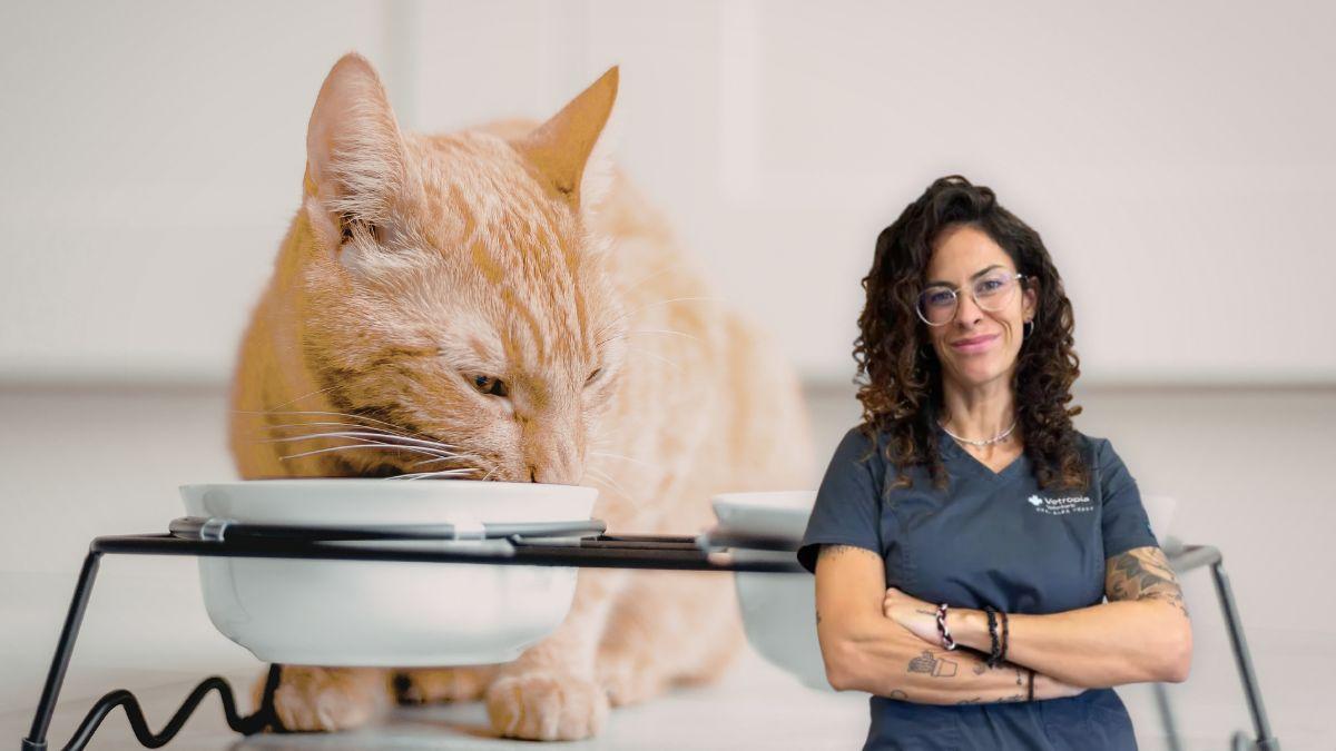 Alba Pérez, veterinaria: "Muchas personas cometen estos errores con sus gatos sin saber que dañan su salud"