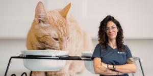 Alba Pérez, veterinaria: “Muchas personas cometen estos errores con sus gatos sin saber que dañan su salud”
