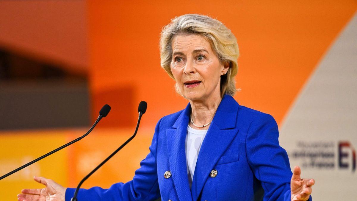 La UE cambia las normas: a partir del 31 de agosto de 2036, los propietarios de perros y gatos deberán cambiar el microchip si es ilegible