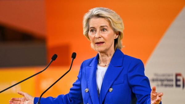 La UE cambia las normas: a partir del 31 de agosto de 2036, los propietarios de perros y gatos deberán cambiar el microchip si es ilegible