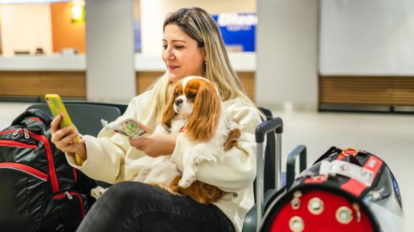 Viajar con tu mascota en la UE: qué exige la ley sobre el registro de viajes (y qué no) - Registrar con antelación el viaje con tu mascota podría ser obligatorio en un futuro
