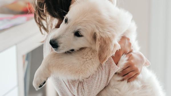 Ni la familia ni los amigos: para el 90 % de las personas en situación vulnerable, su mascota es su principal fuente de afecto - El vínculo con los animales ayuda a combatir la soledad y la exclusión social