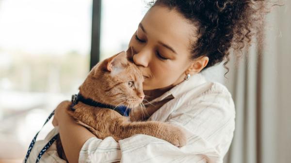 Ni la familia ni los amigos: para el 90 % de las personas en situación vulnerable, su mascota es su principal fuente de afecto - Los beneficios de convivir con perros y gatos para la salud mental